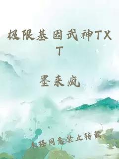 極限基因武神TXT